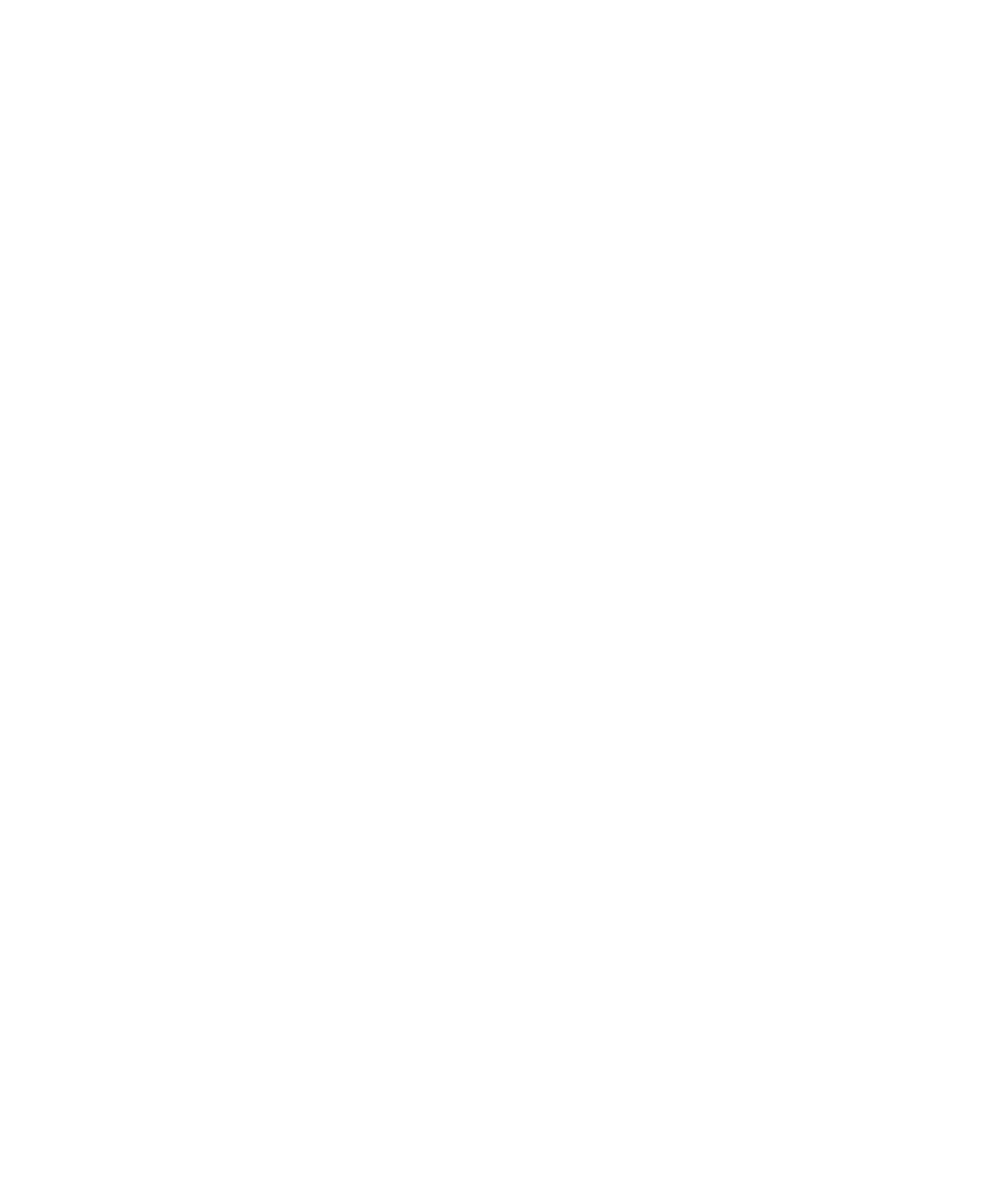 Binthani Investments